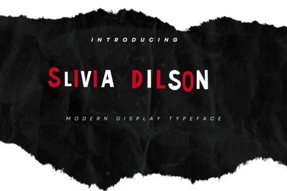Slivia Dilson First Impressions and Practical Use